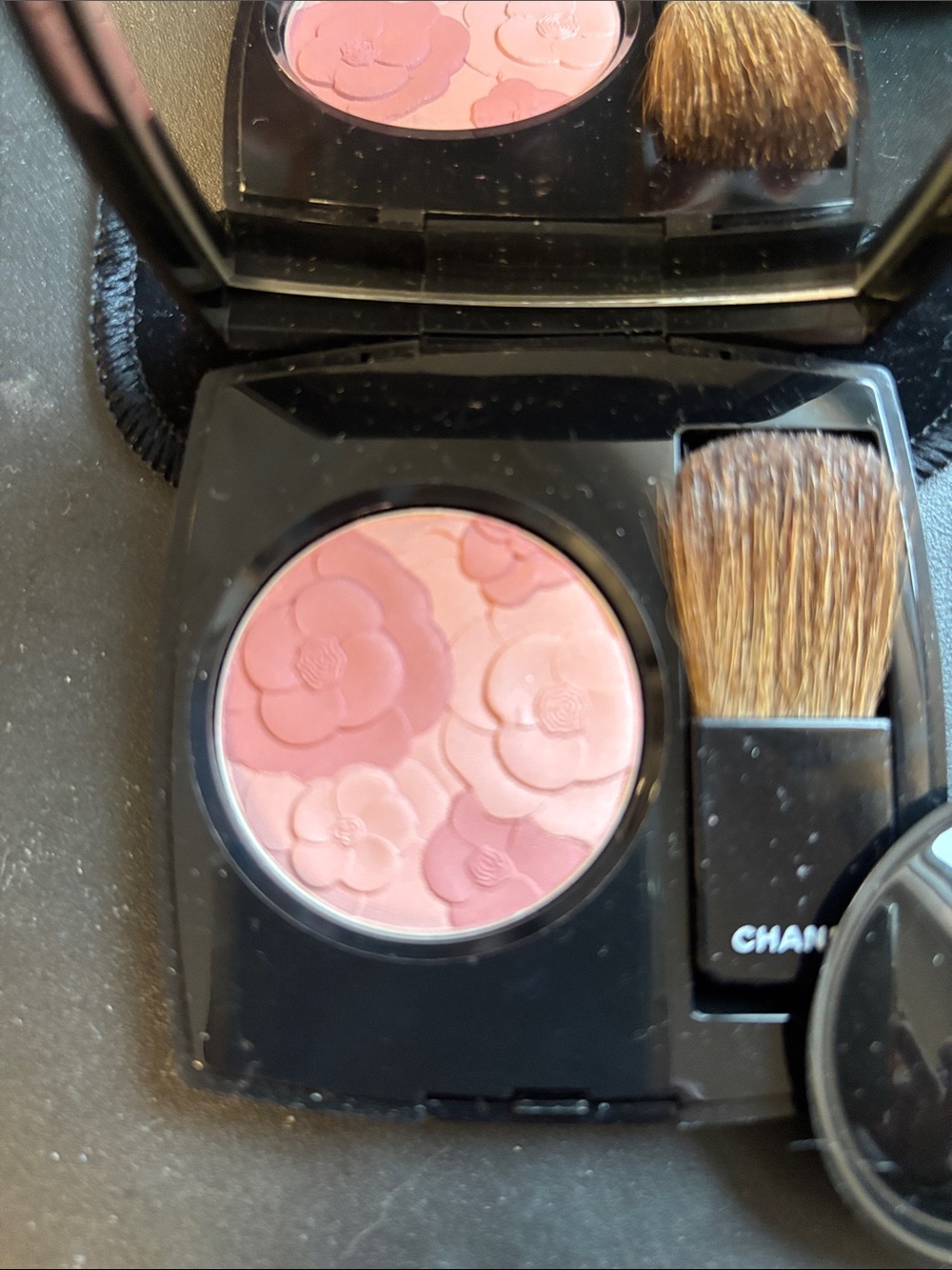 CHANEL EXCLUSIVE LIMITED EDITION JARDIN DE CHANEL BLUSH Brand New no box